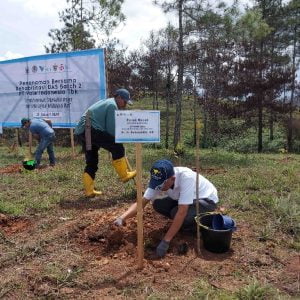 PT Vale Rehabilitasi DAS di Tana Toraja, Tanam 424 Ribu Bibit Pohon