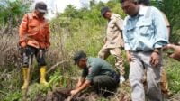 PT Vale Sinergi Pemda Lutim, Tanam Pohon di Areal Persetujuan Penggunaan Kawasan Hutan