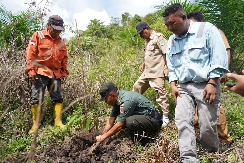PT Vale Sinergi Pemda Lutim, Tanam Pohon di Areal Persetujuan Penggunaan Kawasan Hutan