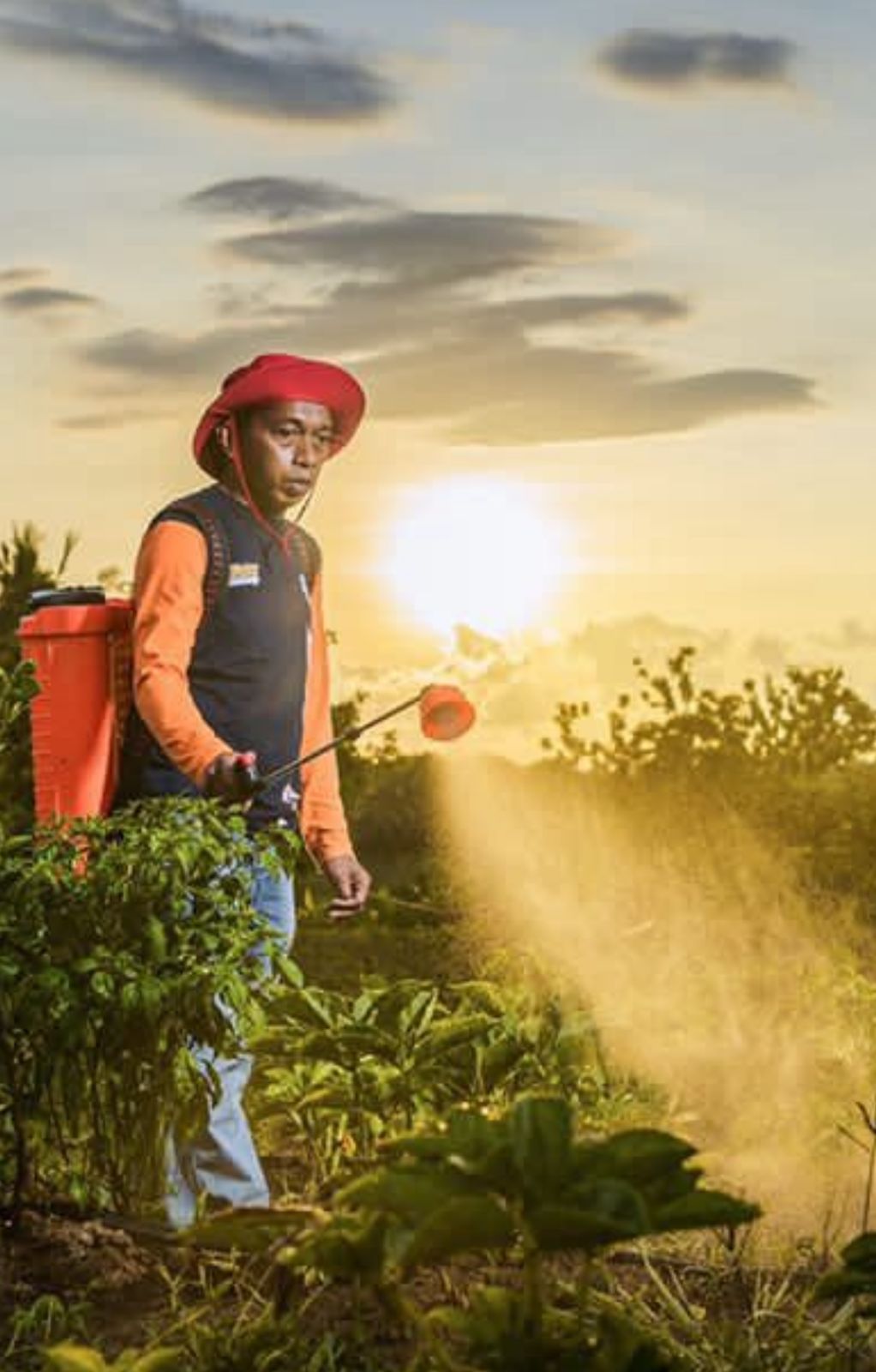 Syaharuddin Alrif, Cetak Rekor Suara Terbesar DPRD Sulsel Pemilu 2024