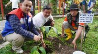 Berita Inews