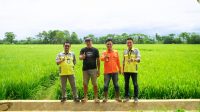 Berita Inews Berita Inews
