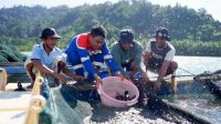 Berita Inews