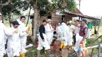Berita Inews