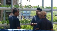 Berita Inews