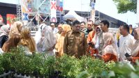 Berita Inews