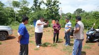 Berita Inews