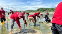 Berita Inews Berita Inews