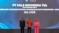 Berita Inews Berita Inews